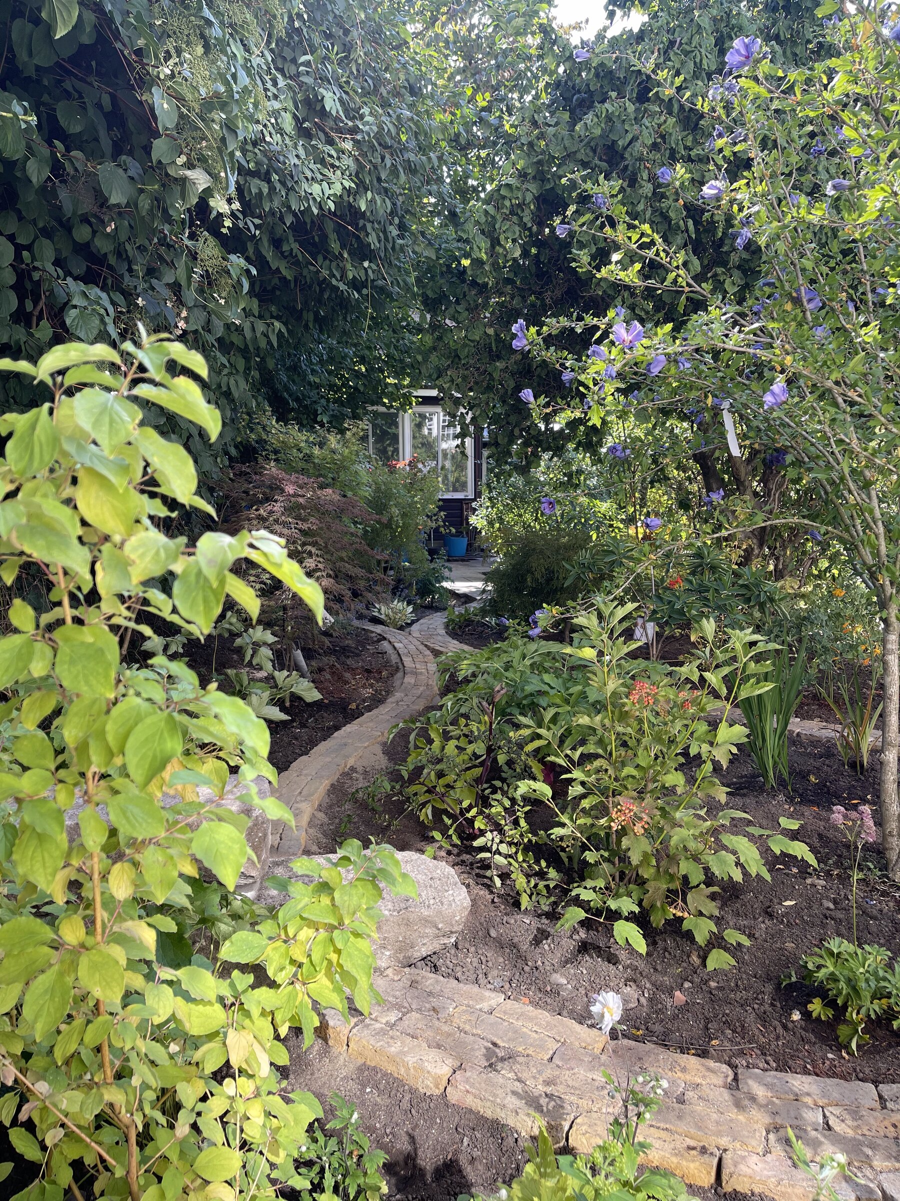 Brick path through planting, garden by Wareing Design