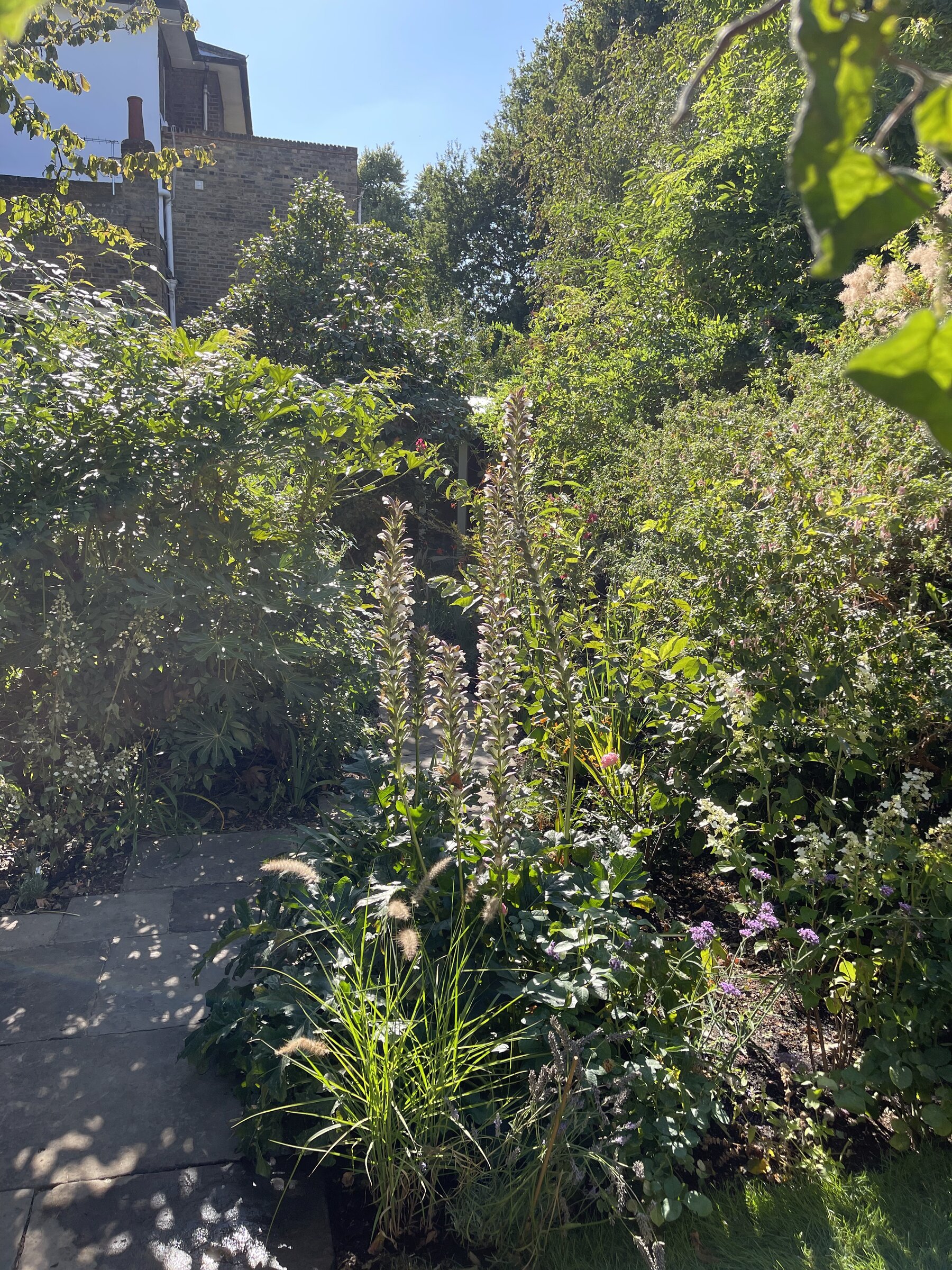 Late-summer border, garden by Wareing Design