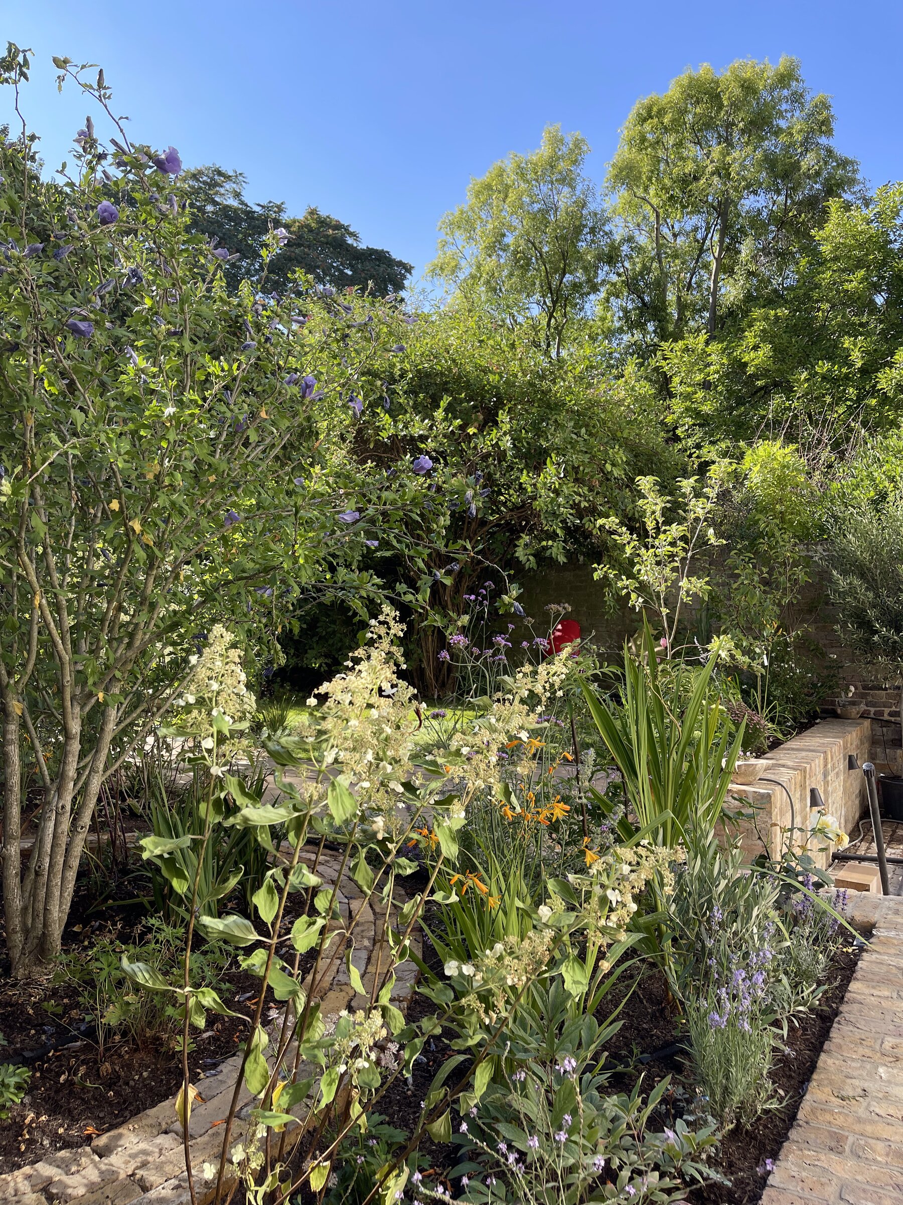 Mature walled garden with hydrangeas, Wareing Design