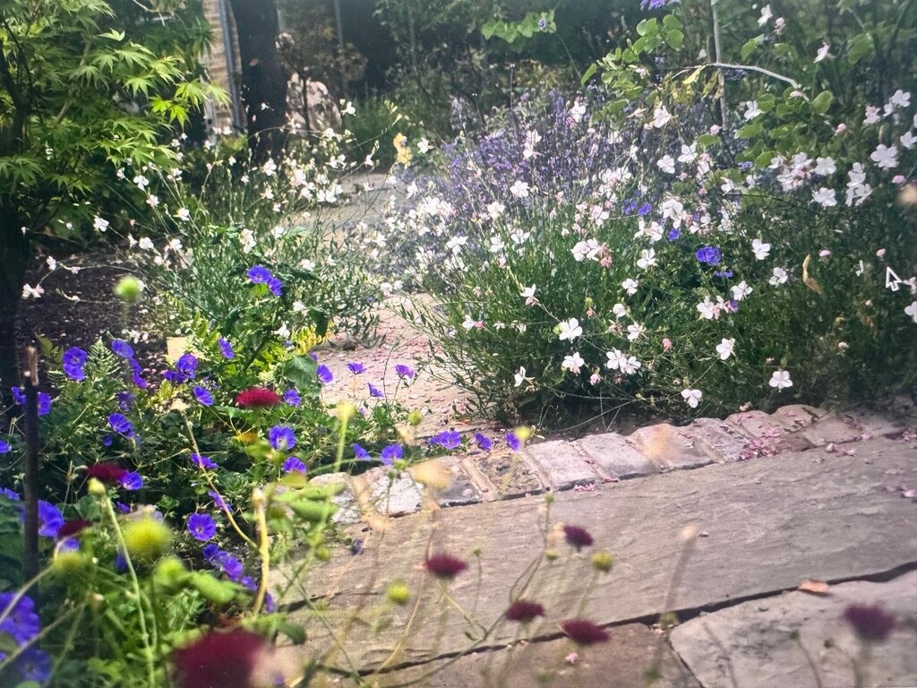 Wildflower border and path, Wareing Design