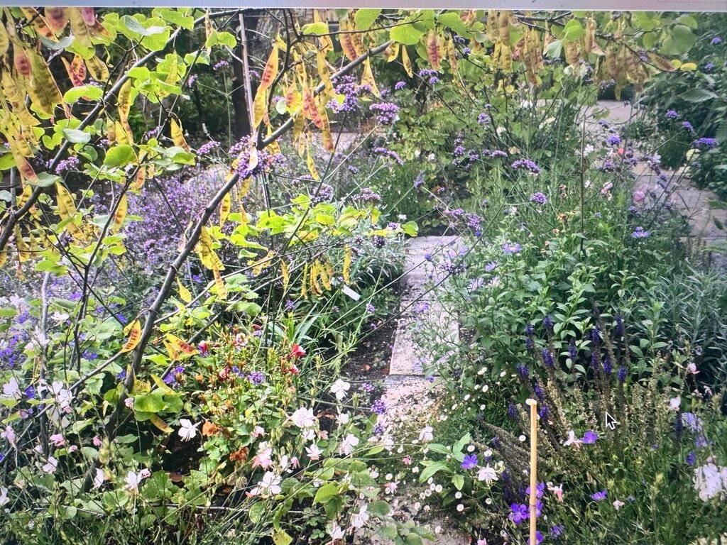 Path through flowering border, Wareing Design